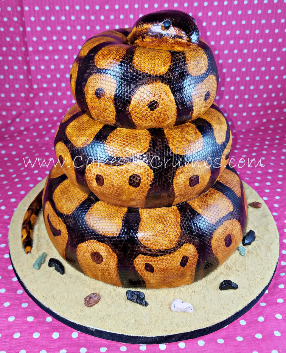 python-cake